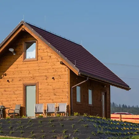 Dağ evi U Jana I Wita Istebna