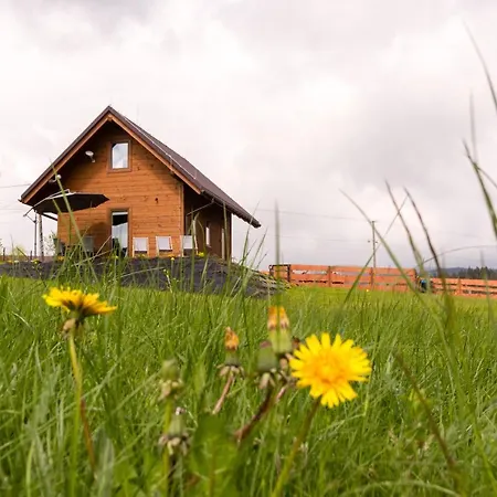 בקתה U Jana I Wita איסטבנה