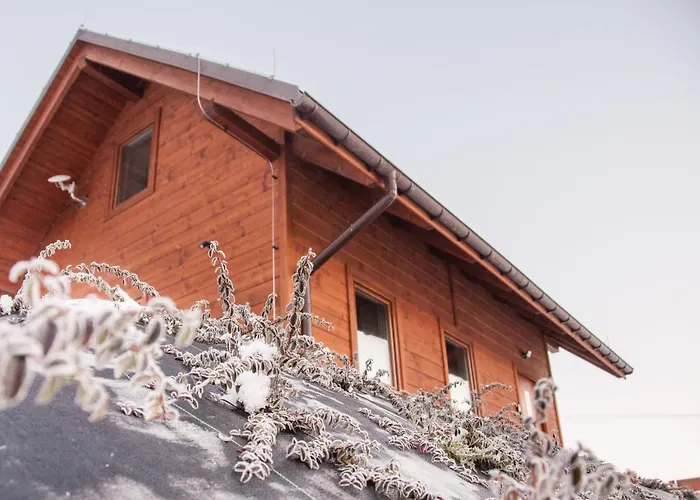 Alpstuga U Jana I Wita