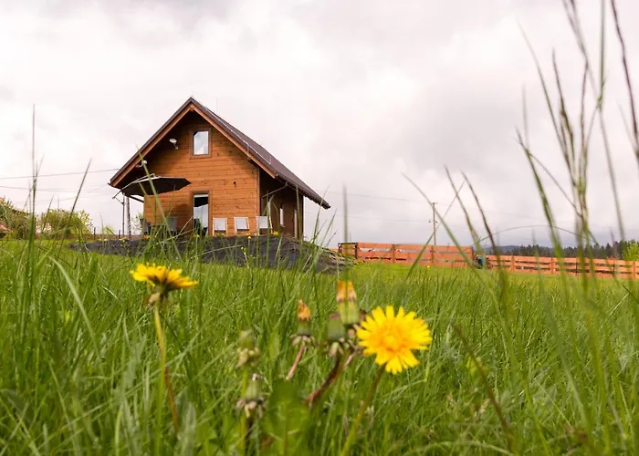 בקתה U Jana I Wita איסטבנה